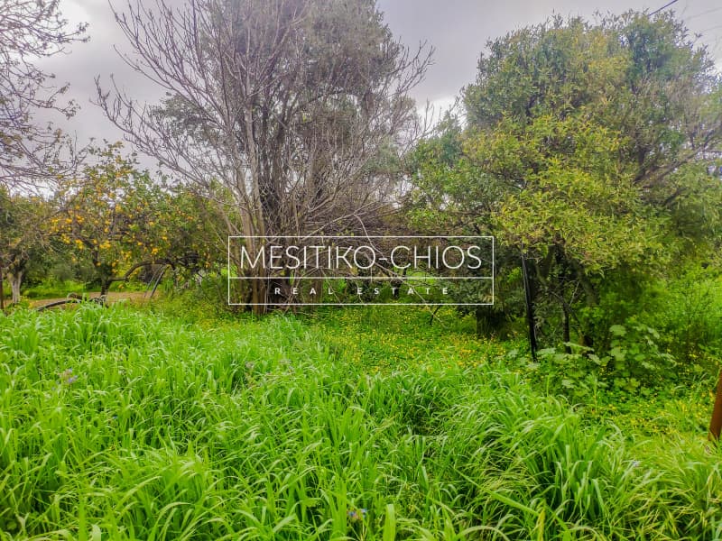 Building Plot in Kampochoria, Chios — Photo 2 of 12