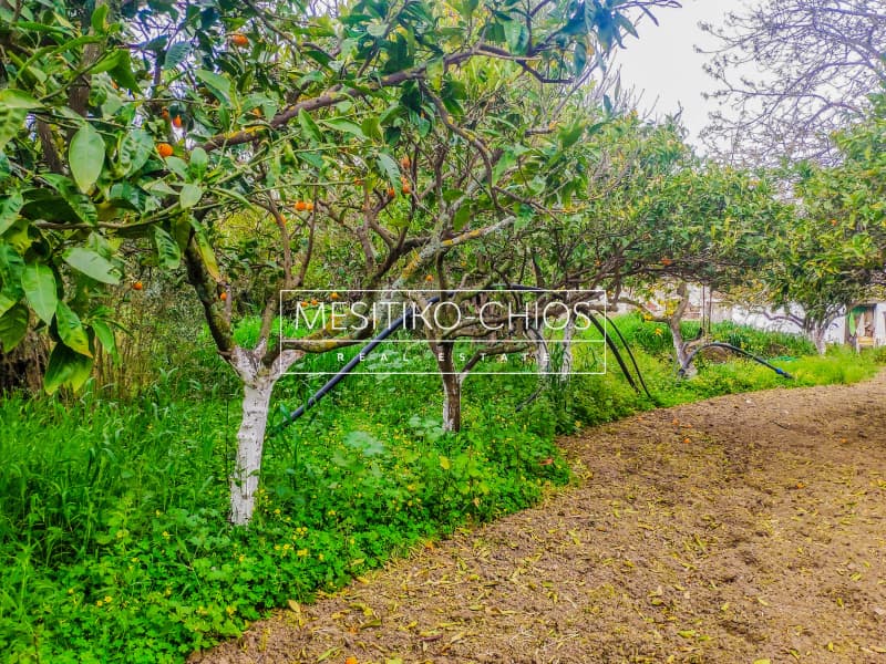 Building Plot in Kampochoria, Chios — Photo 1 of 12