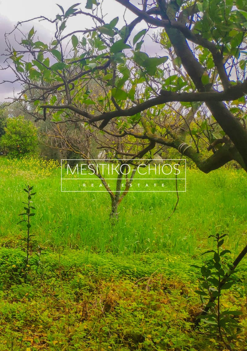 Building Plot in Kampochoria, Chios — Photo 11 of 12
