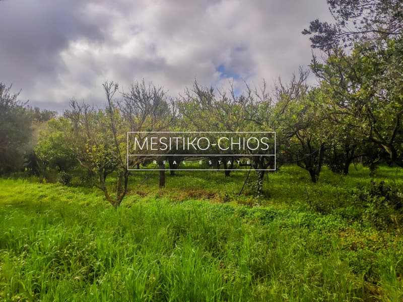 Building Plot in Kampochoria, Chios — Photo 8 of 12