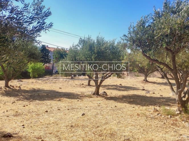 Building Plot in Chios town, Chios — Photo 18 of 22