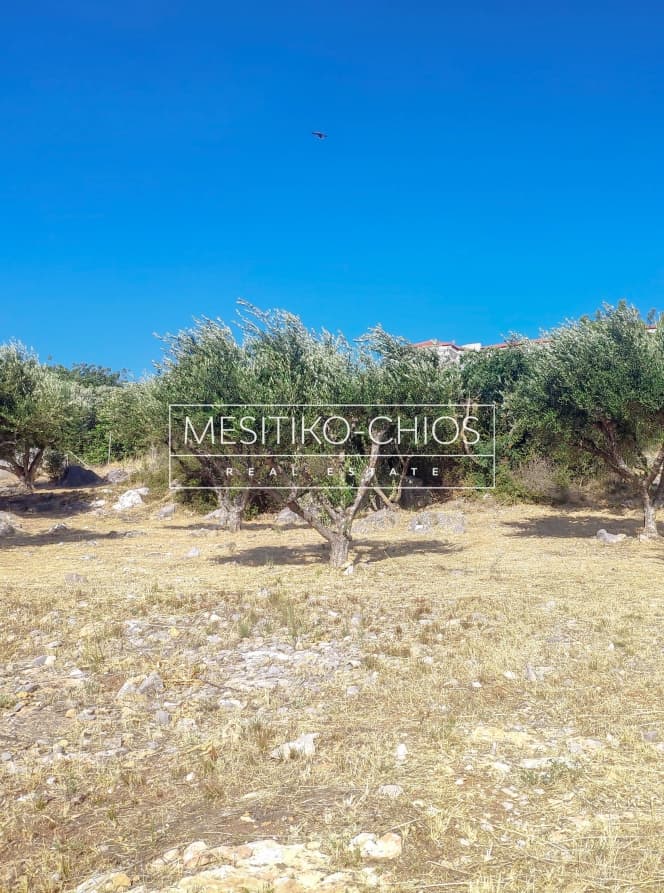 Building Plot in Chios town, Chios — Photo 16 of 22