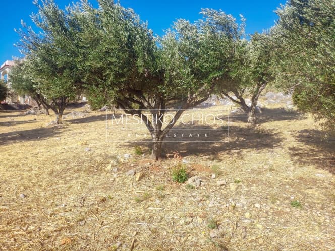 Building Plot in Chios town, Chios — Photo 10 of 22