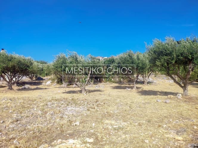Building Plot in Chios town, Chios — Photo 20 of 22