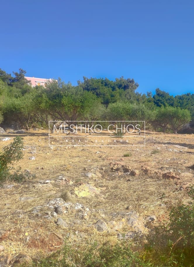 Building Plot in Chios town, Chios — Photo 13 of 22