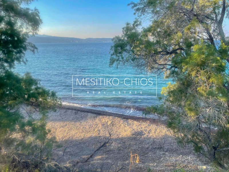 Οικόπεδο στην Ιωνία, Χίος — Φωτογραφία 3 από 14