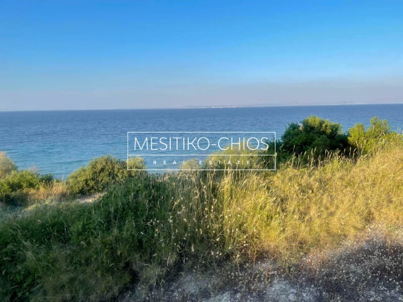 Οικόπεδο στην Ιωνία, Χίος — Φωτογραφία 4 από 14