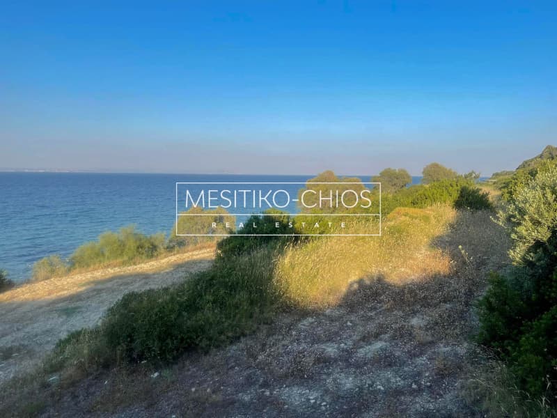 Οικόπεδο στην Ιωνία, Χίος — Φωτογραφία 11 από 14