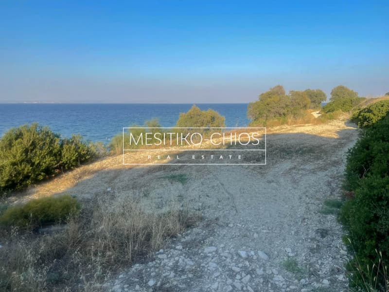 Οικόπεδο στην Ιωνία, Χίος — Φωτογραφία 9 από 14