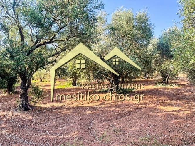 Οικόπεδο στην Άγιος Μηνάς, Χίος — Φωτογραφία 6 από 12