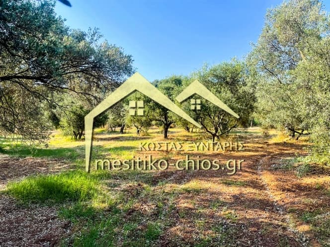 Οικόπεδο στην Άγιος Μηνάς, Χίος — Φωτογραφία 1 από 12