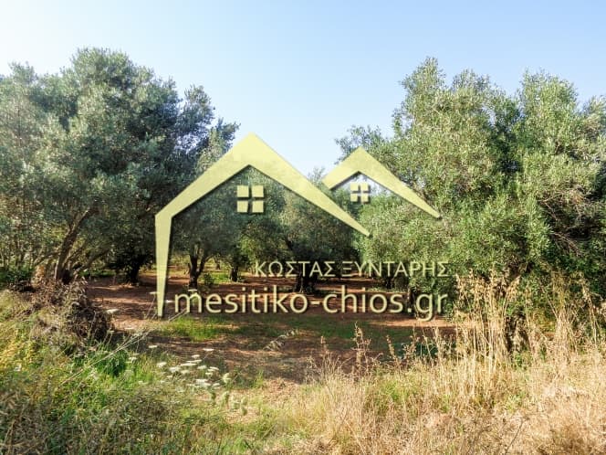 Οικόπεδο στην Άγιος Μηνάς, Χίος — Φωτογραφία 12 από 12