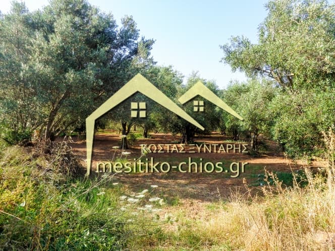 Οικόπεδο στην Άγιος Μηνάς, Χίος — Φωτογραφία 8 από 12