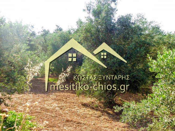 Οικόπεδο στην Άγιος Μηνάς, Χίος — Φωτογραφία 11 από 12
