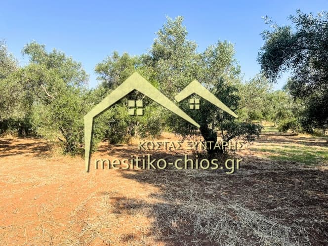 Οικόπεδο στην Άγιος Μηνάς, Χίος — Φωτογραφία 5 από 12