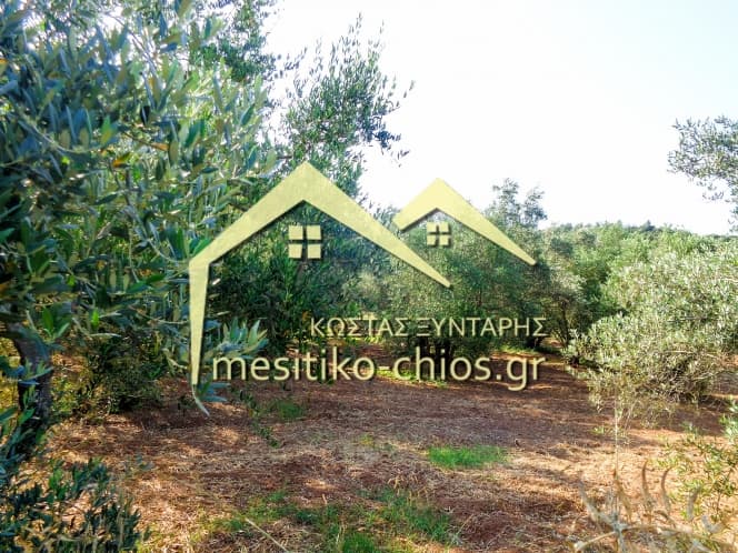 Οικόπεδο στην Άγιος Μηνάς, Χίος — Φωτογραφία 9 από 12