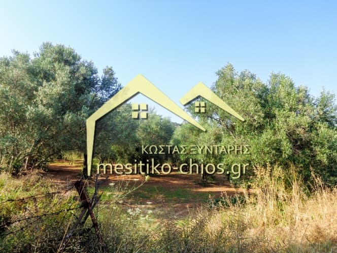 Οικόπεδο στην Άγιος Μηνάς, Χίος — Φωτογραφία 7 από 12