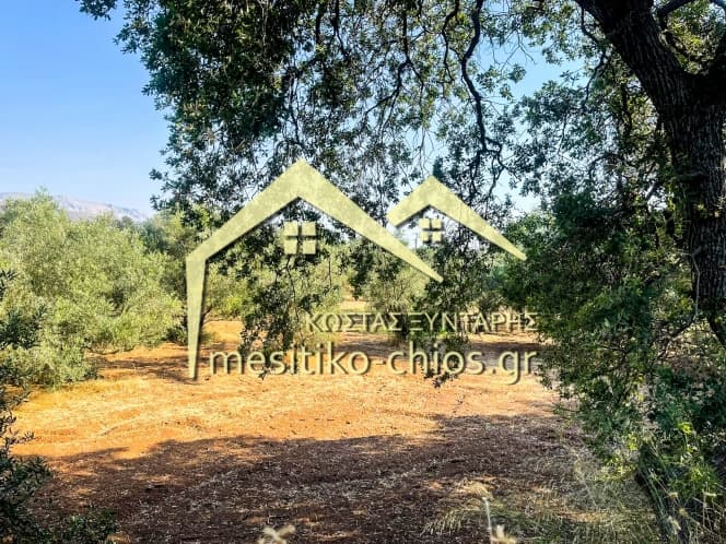 Οικόπεδο στην Άγιος Μηνάς, Χίος — Φωτογραφία 2 από 12