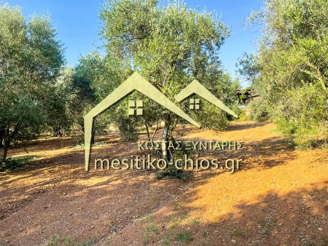 Οικόπεδο στην Άγιος Μηνάς, Χίος — Φωτογραφία 4 από 12