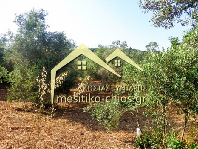 Οικόπεδο στην Άγιος Μηνάς, Χίος — Φωτογραφία 10 από 12