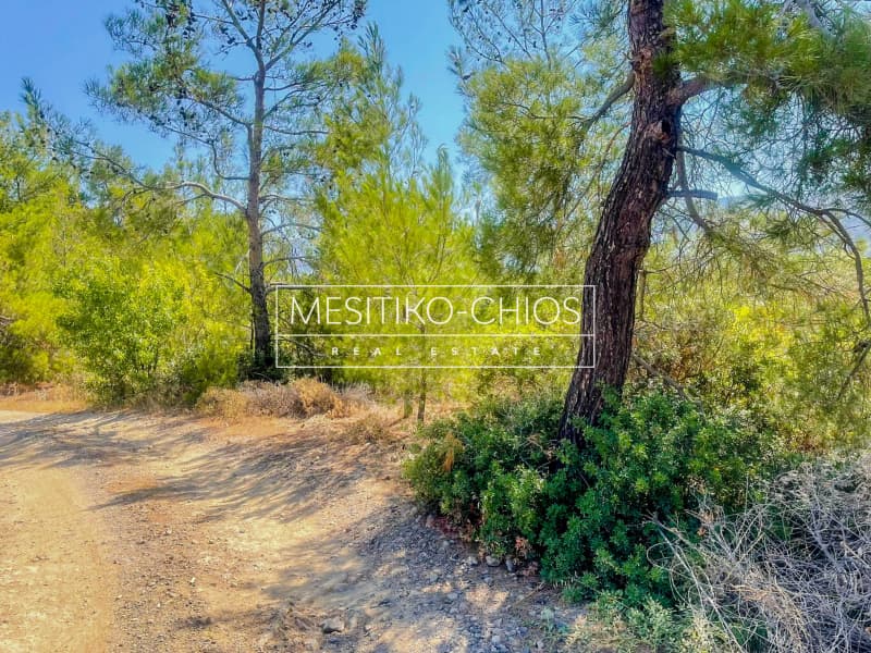 Οικόπεδο στην Αμάνη, Χίος — Φωτογραφία 7 από 25