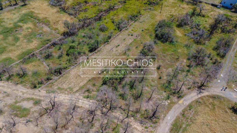 Οικόπεδο στην Αμάνη, Χίος — Φωτογραφία 25 από 25