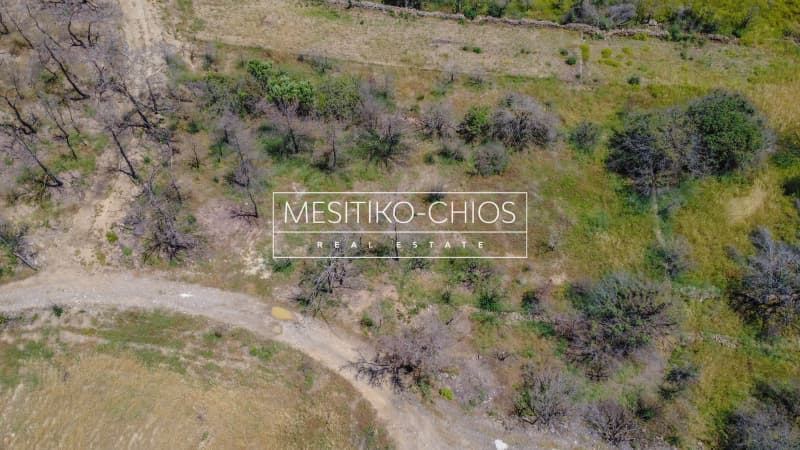 Οικόπεδο στην Αμάνη, Χίος — Φωτογραφία 16 από 25