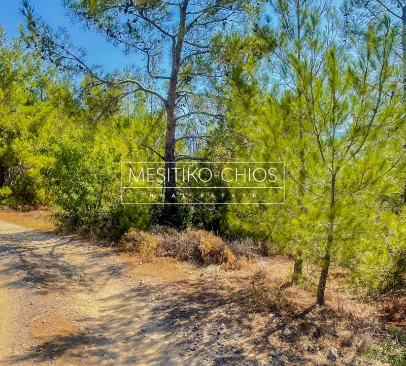 Οικόπεδο στην Αμάνη, Χίος — Φωτογραφία 15 από 25