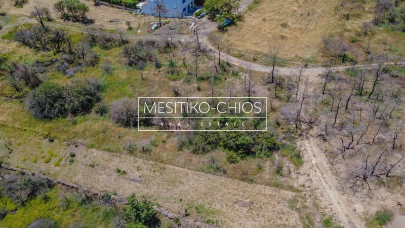 Οικόπεδο στην Αμάνη, Χίος — Φωτογραφία 21 από 25