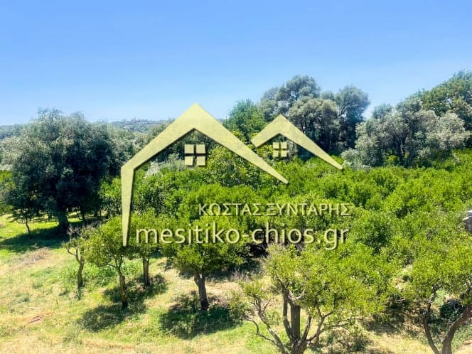 Οικόπεδο στην Άγιος Μηνάς, Χίος — Φωτογραφία 4 από 14