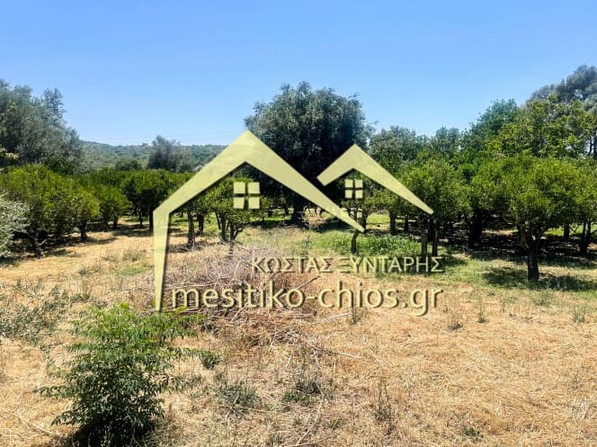 Οικόπεδο στην Άγιος Μηνάς, Χίος — Φωτογραφία 3 από 14