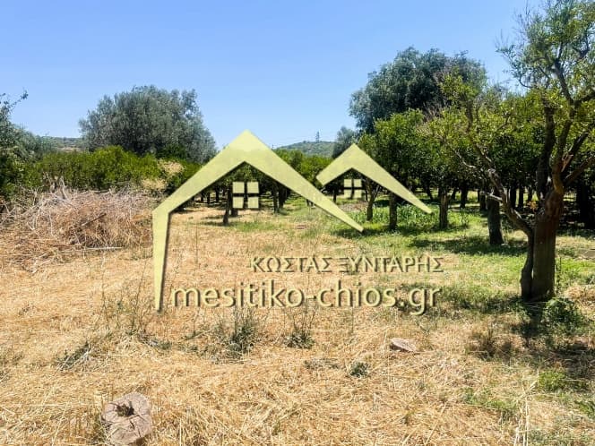 Οικόπεδο στην Άγιος Μηνάς, Χίος — Φωτογραφία 8 από 14