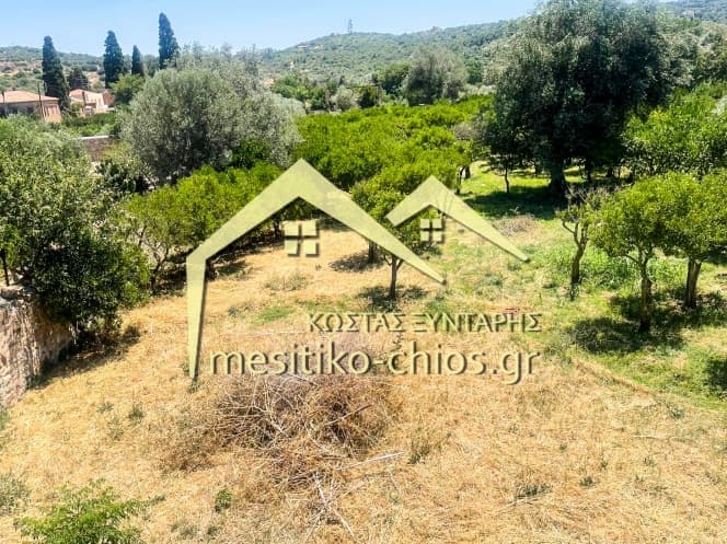 Οικόπεδο στην Άγιος Μηνάς, Χίος — Φωτογραφία 7 από 14
