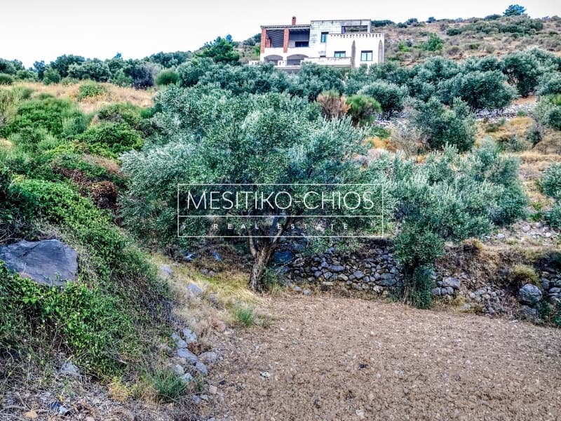 Building Plot in Kardamila, Oinousses — Photo 15 of 21