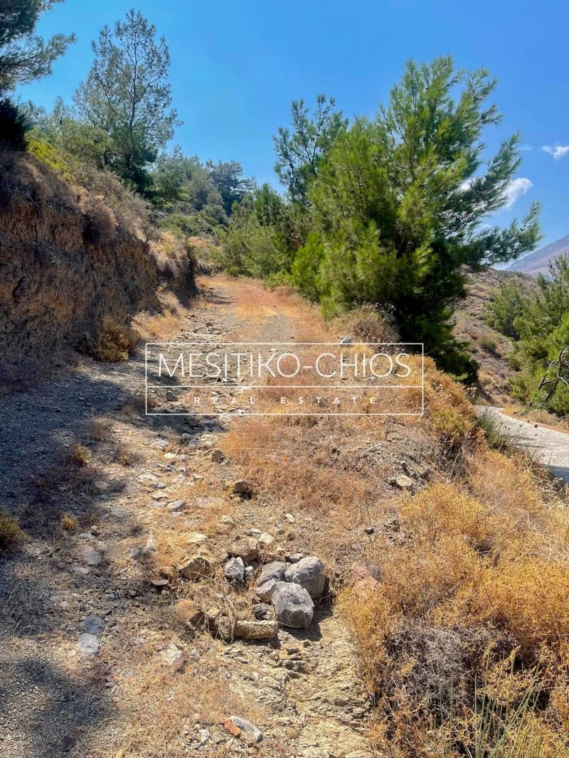 Building Plot in Kardamila, Oinousses — Photo 18 of 21