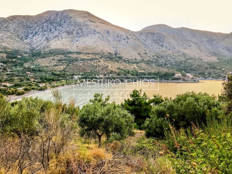 Building Plot in Kardamila, Oinousses — Photo 12 of 21
