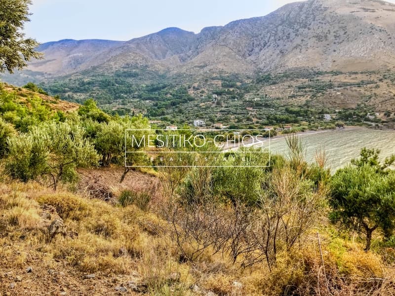Building Plot in Kardamila, Oinousses — Photo 11 of 21
