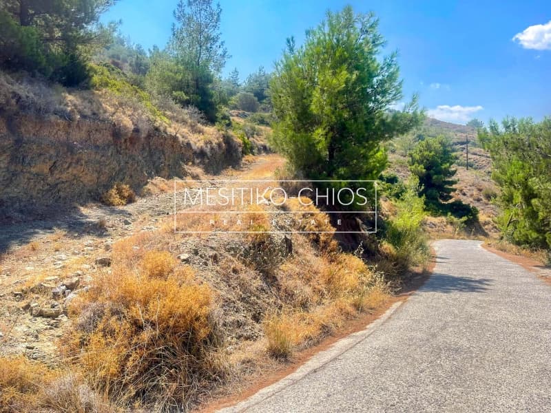 Building Plot in Kardamila, Oinousses — Photo 21 of 21