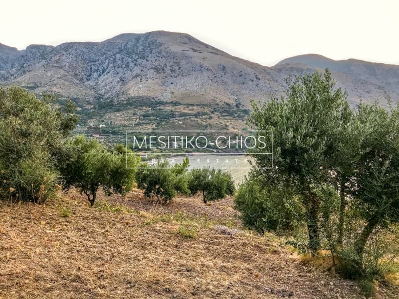 Building Plot in Kardamila, Oinousses — Photo 7 of 21