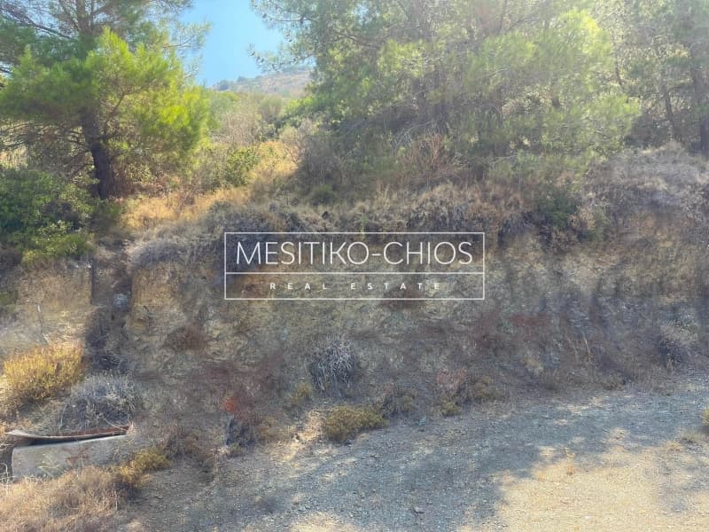 Building Plot in Kardamila, Oinousses — Photo 16 of 21