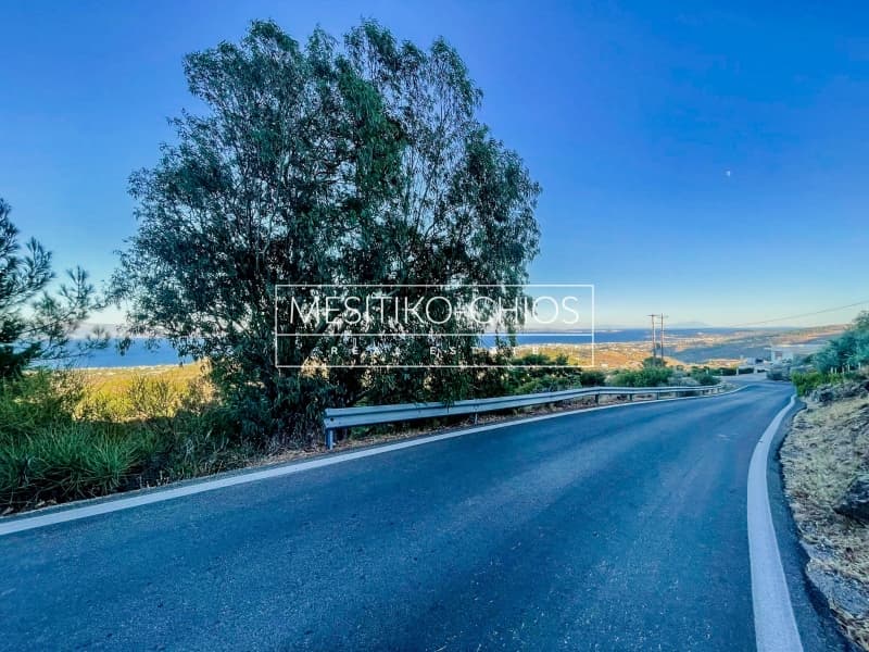 Αγροτεμάχιο στην Πόλη Χίου, Χίος — Φωτογραφία 8 από 13
