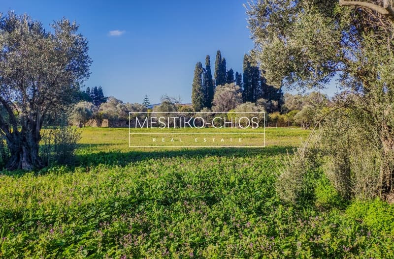 House in Agios Minas, Chios — Photo 18 of 25