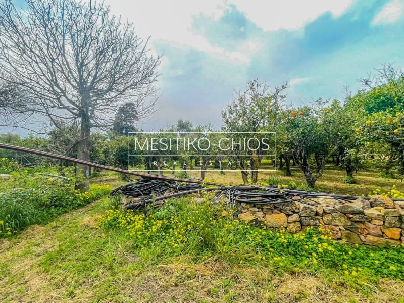 House in Agios Minas, Chios — Photo 14 of 25