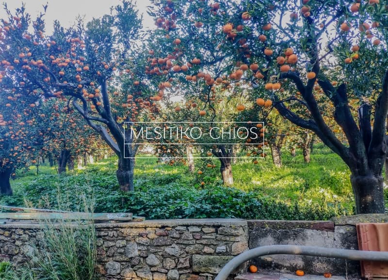 House in Agios Minas, Chios — Photo 12 of 25