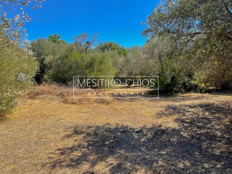 Οικόπεδο στην Πόλη Χίου, Χίος — Φωτογραφία 12 από 13