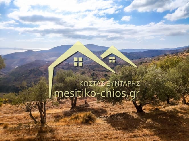 Οικόπεδο στην Ομηρούπολη, Χίος — Φωτογραφία 8 από 20