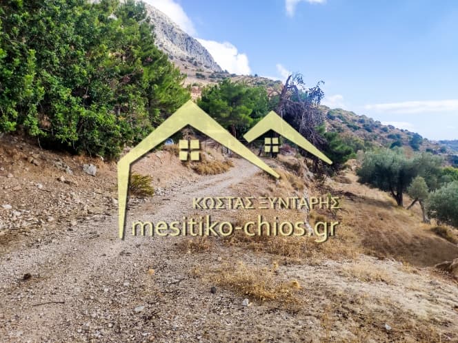 Οικόπεδο στην Ομηρούπολη, Χίος — Φωτογραφία 9 από 20
