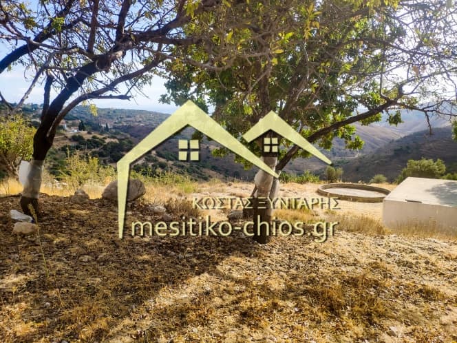 Οικόπεδο στην Ομηρούπολη, Χίος — Φωτογραφία 13 από 20