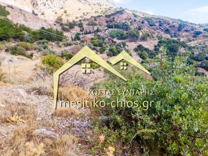 Οικόπεδο στην Ομηρούπολη, Χίος — Φωτογραφία 18 από 20