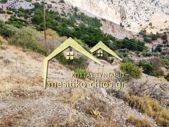 Οικόπεδο στην Ομηρούπολη, Χίος — Φωτογραφία 19 από 20